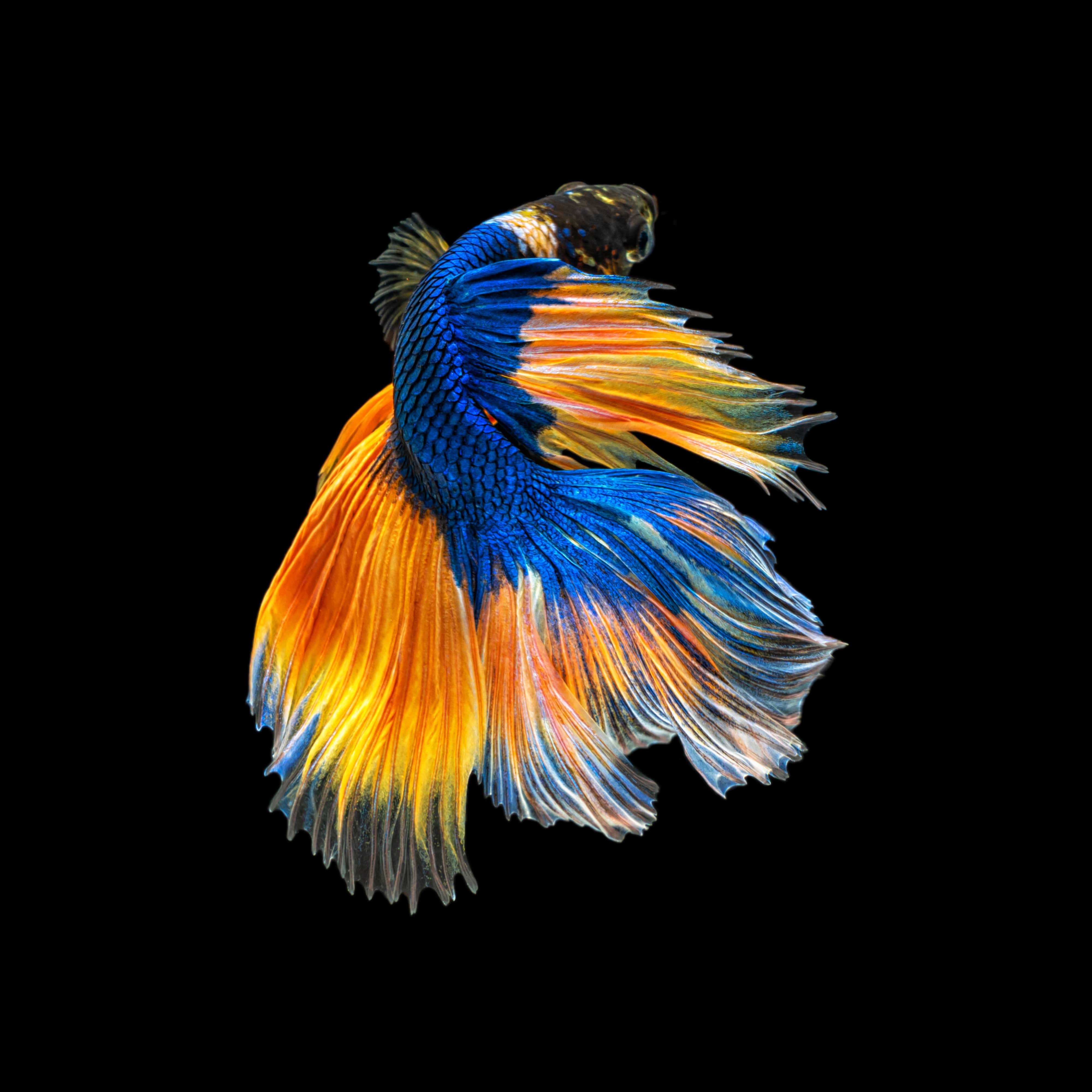 We partner with great clients to create purposeful products